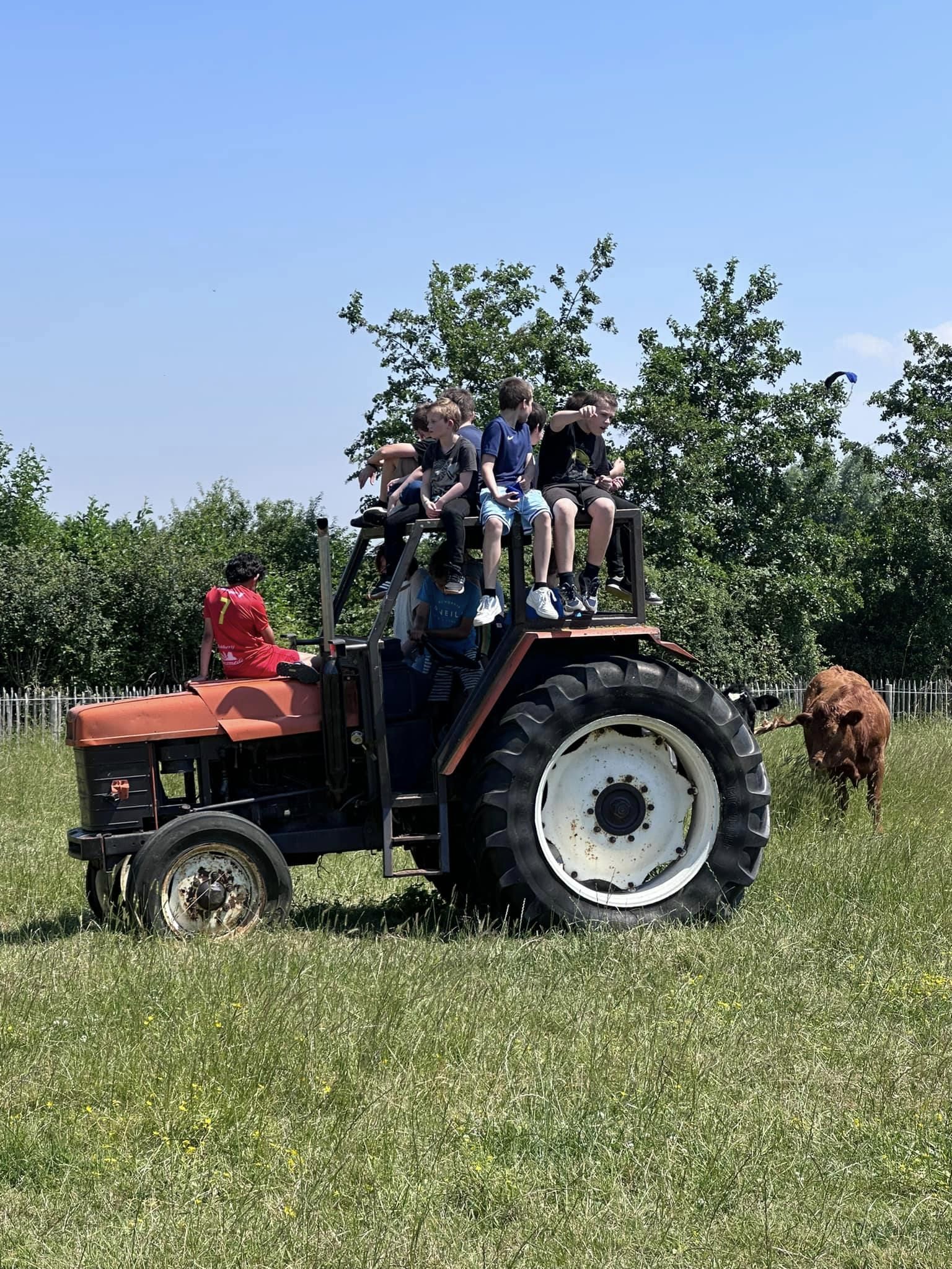 Educatieve Namiddag op de Kinderboerderij